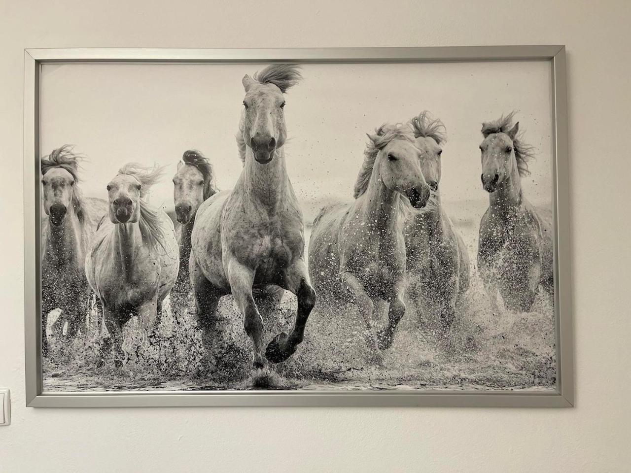Hotel Ostoya Roztocze Szczebrzeszyn Esterno foto